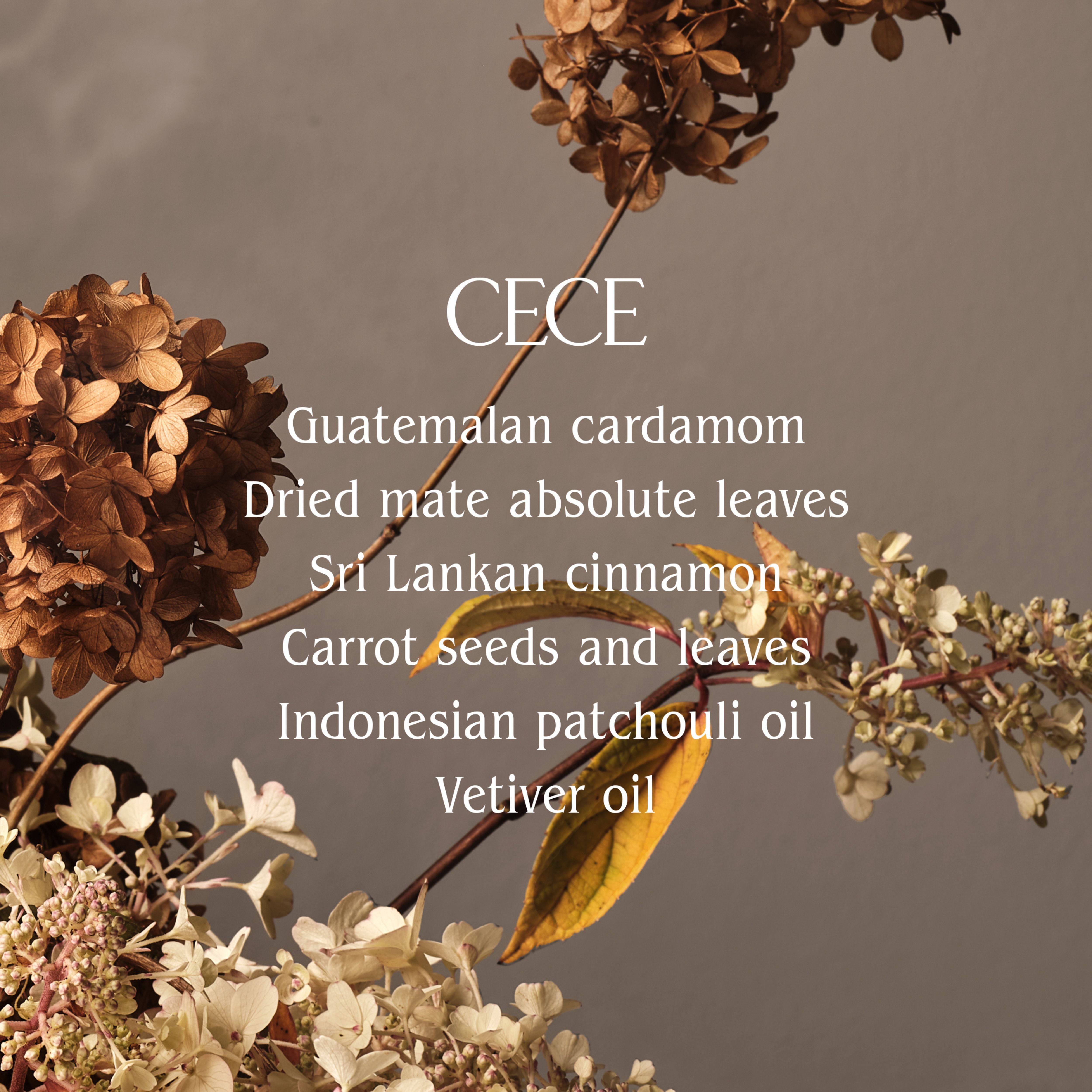 HomeCourt Cece Hand Wash - Gentle Moisturizing Liquid Soap for Dry Skin - Perfect for Bathroom, Kitchen, and Office Use