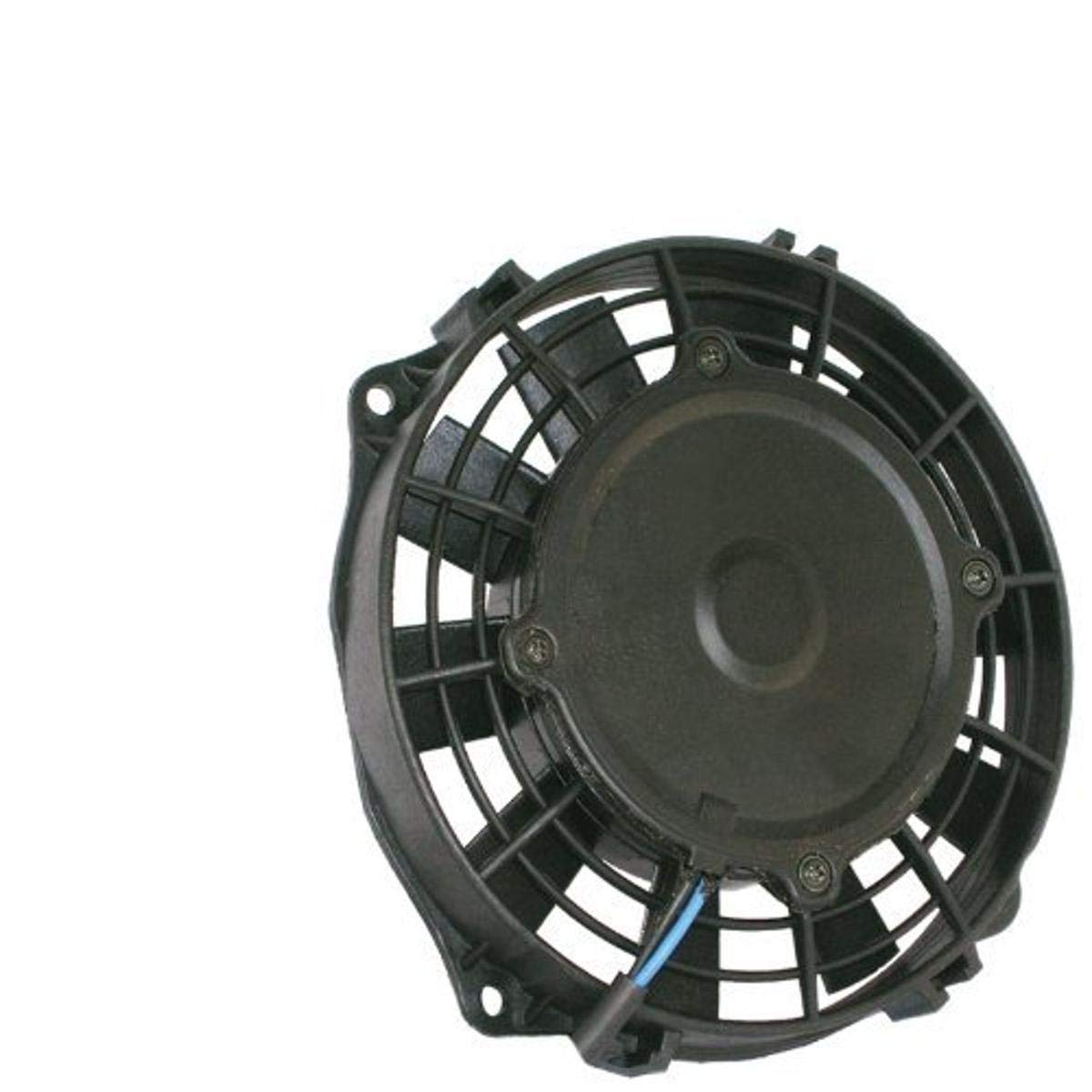 130W Champion Series 6.5