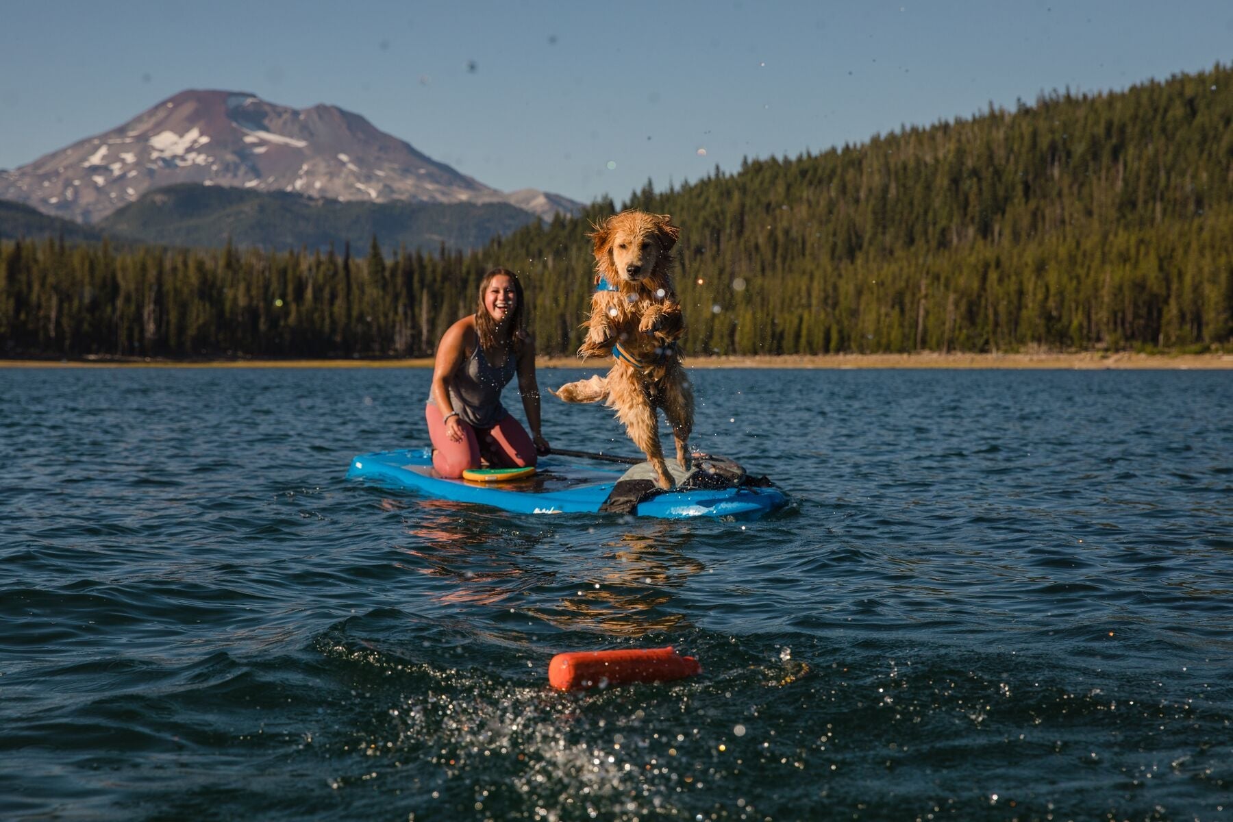 Lunker® Foam Water Toy for Dogs - Purple Orchid | Ruffwear® - Perfect for Pool, Beach & Outdoor Play