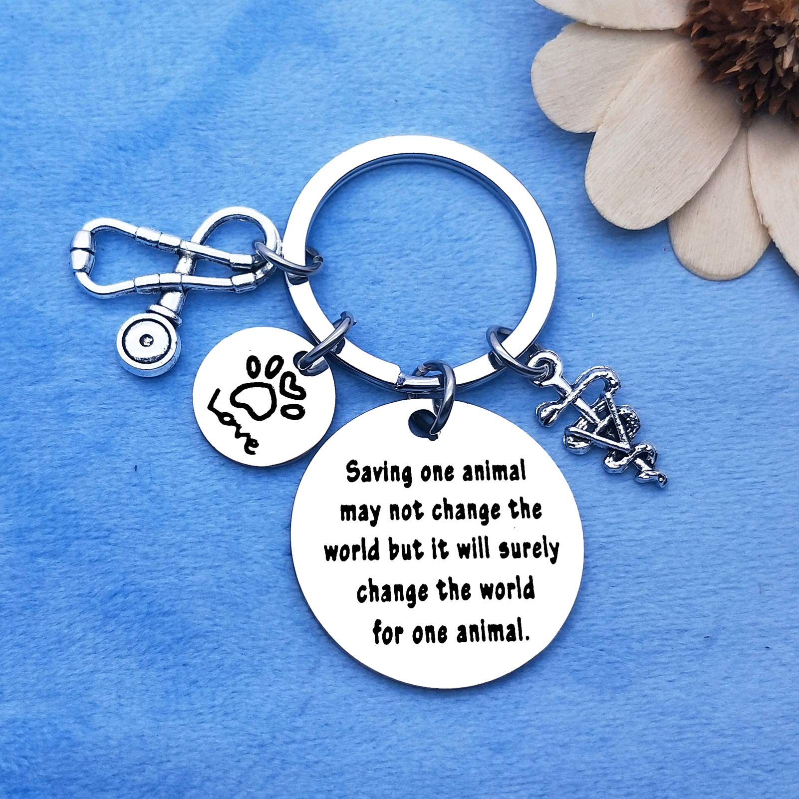 Veterinarian Appreciation Gifts for Vet Techs - Animal Rescue Keychain with Inspirational Quote - Perfect Thank You Gift for Veterinary Medicine Graduation & Vet Tech Week - Ideal for Clinics, Hospitals & Animal Shelter Workers