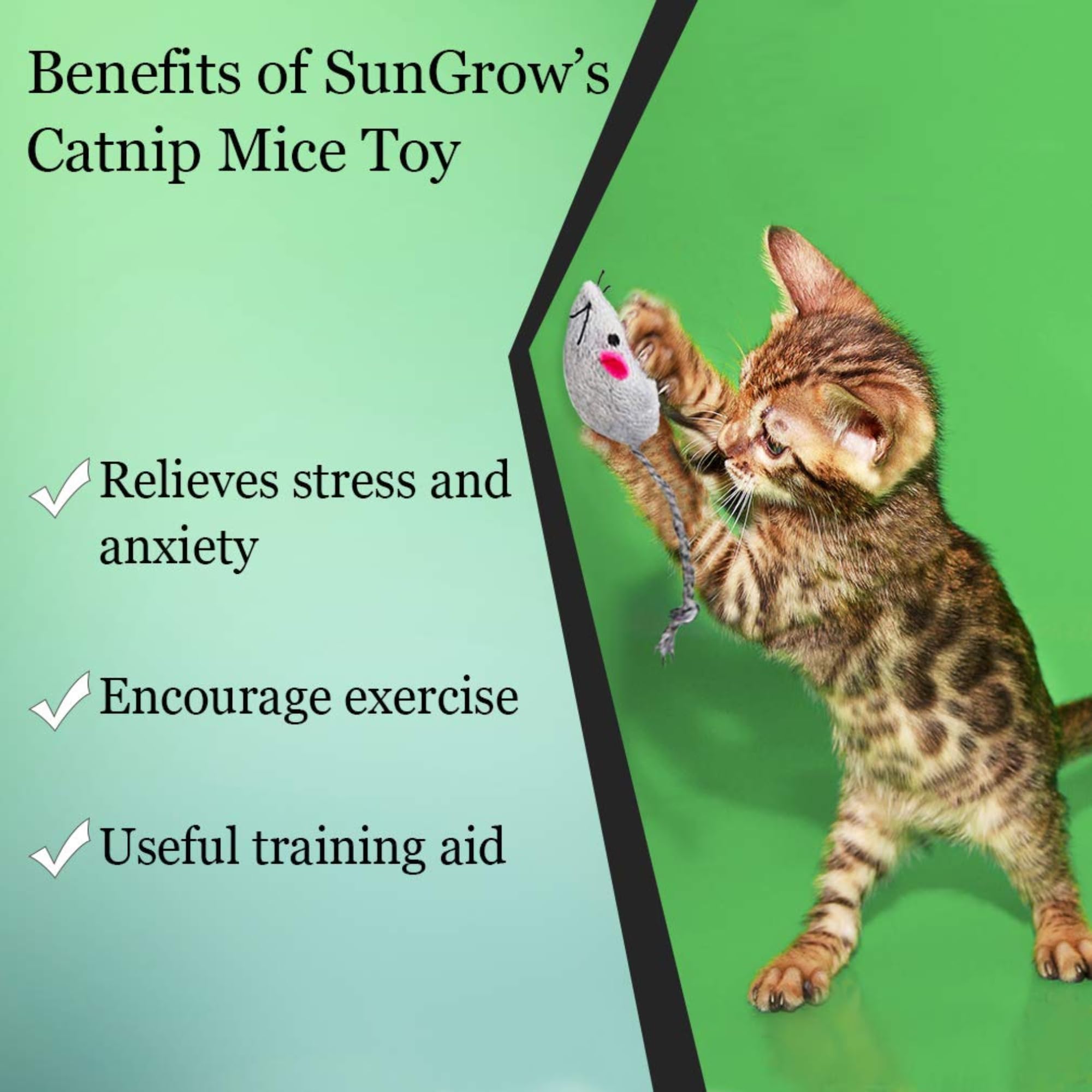 SunGrow 5 Pack Catnip Cat Toys for Indoor Cats - Interactive Chew Toys for Kittens & Adult Cats, 2-inch Furry Mice with Plush Faux Fur & Prefilled Catnip - Perfect for Boredom Relief, Playtime & Dental Health