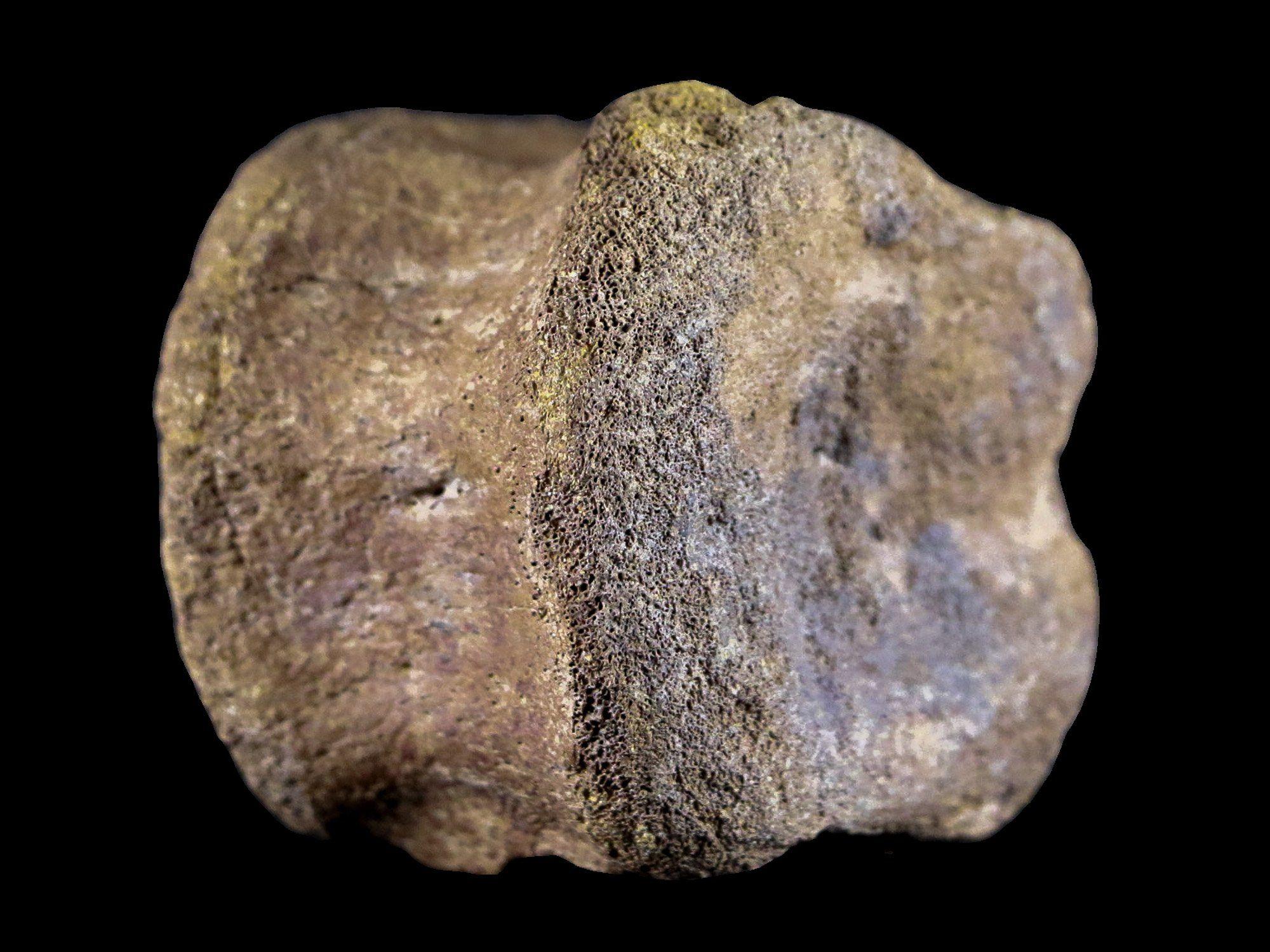 2.5