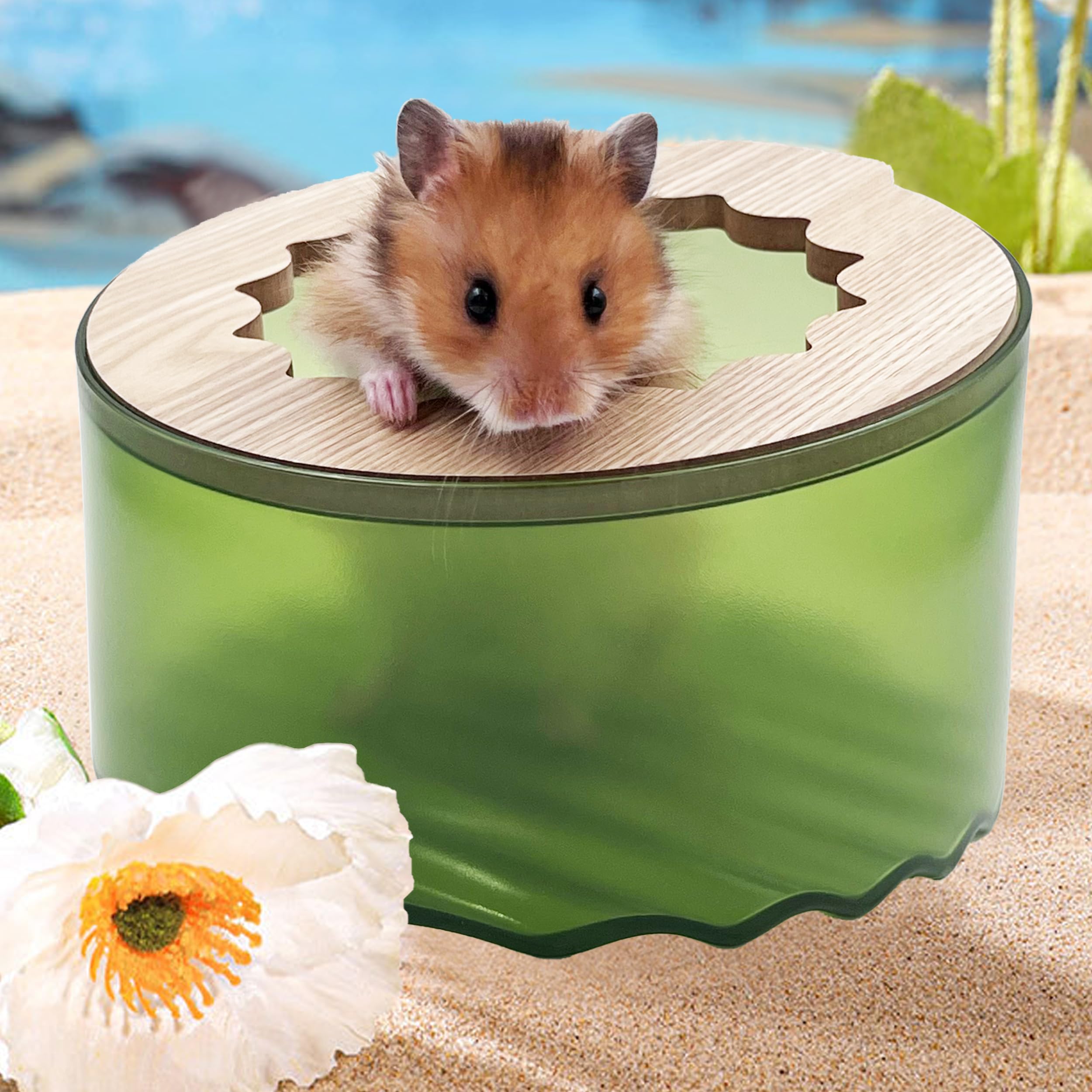 Premium Hamster Sand Bath Box - Small Animal Bathing Container for Dwarf Hamster, Syrian Hamster & Gerbil | Easy to Clean Cage Accessories | Perfect for Playtime & Grooming in Pet Habitats
