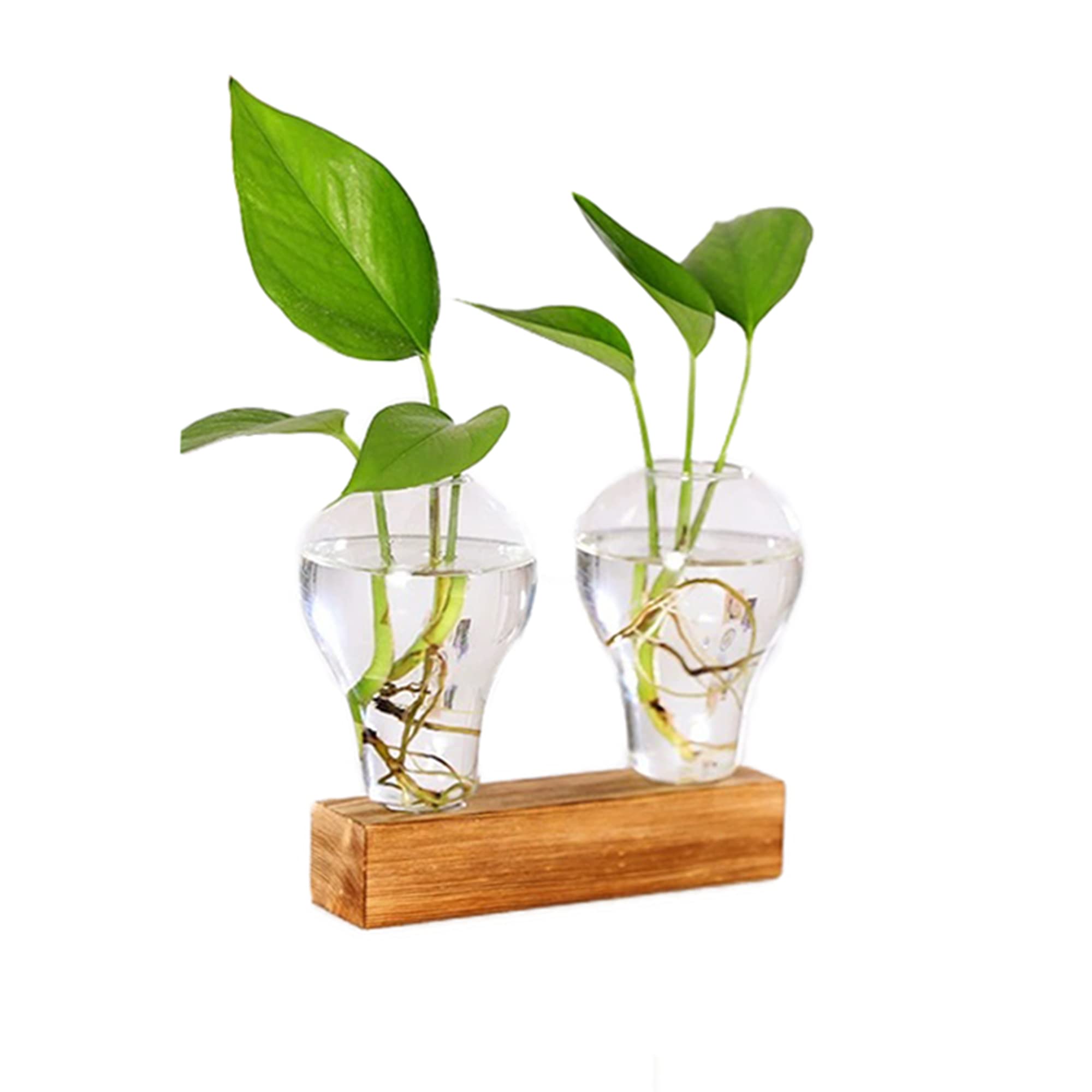 Retro Wooden Stand Bulb-Shaped Hydroponic Plant Terrarium - 2 Pack Small Glass Planter for Home & Office Decor, Succulents, Air Plants - Perfect for Desktop, Shelf, and Gift Giving