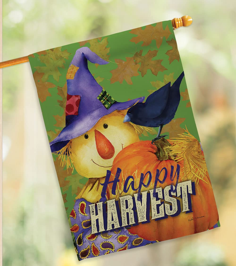 Happy Harvest Scarecrow Flag Set - 28