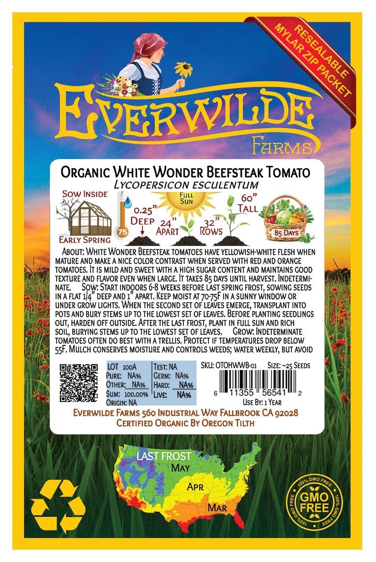 Organic White Wonder Beefsteak Heirloom Tomato Seeds - 25 Count - Non-GMO, Open Pollinated - Perfect for Home Gardens, Greenhouses & Container Planting - Gold Vault Packet by Everwilde Farms