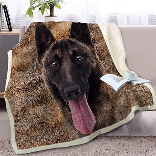 German Shepherd Dog
