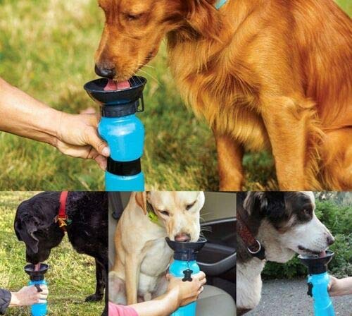 WaggyTails 500ml Leak-Proof Dog Water Bottle for Travel - Hydration for Small to Medium Dogs - Perfect for Outdoor Adventures