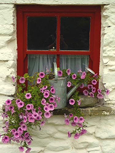 20x30 Inch Floral Wall Art - Vibrant Laminated Poster for Home Decor, Window Frames & Living Room - Perfect for Bedroom, Office & Nursery Decoration