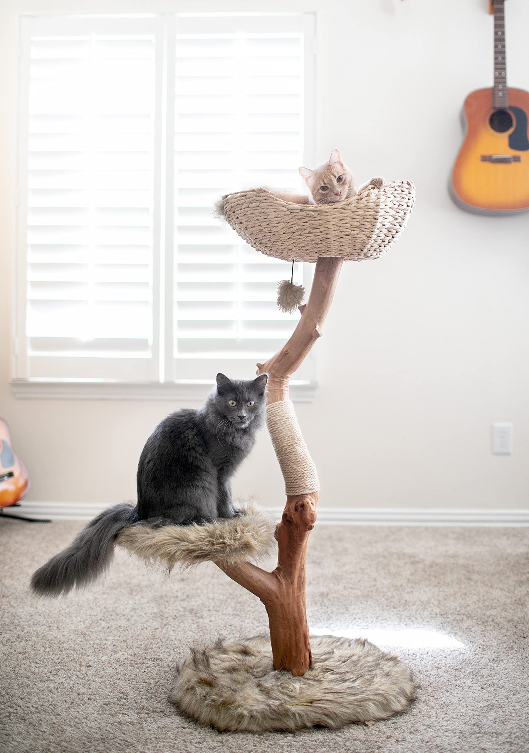 Modern Wooden Cat Tree Tower - Single Branch Cat Condo & Climbing Furniture for Indoor Cats - Perfect Cat Lover Gift by MAU LIFESTYLE (Brown) - Ideal for Small Spaces & Playful Kittens