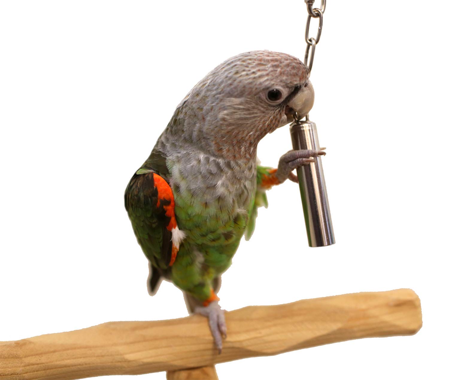Stainless Steel Bird Bell Toy for Parrots - Medium Size, Durable Chew Toy for Pet Birds - Perfect for Cages, Play Gyms & Training