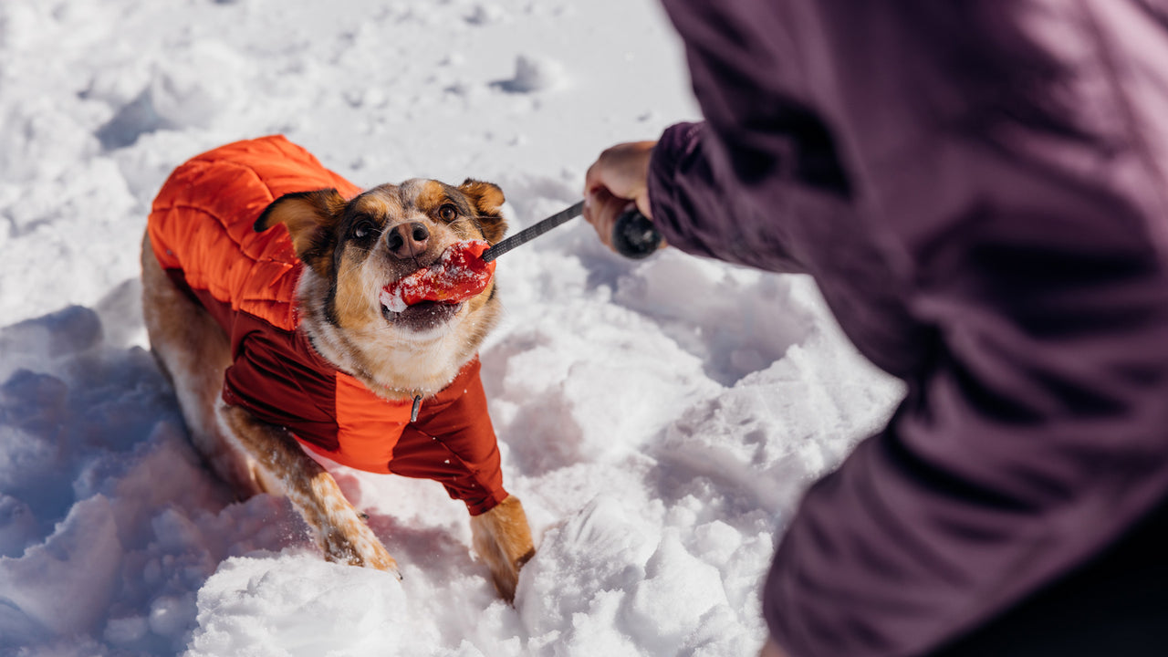Ruffwear® Huck a Cone® Naranja Salamandra (Salamander Orange) - Durable Fetch, Toss & Bounce Dog Toy for Outdoor Play, Training and Water Fun | Interactive Play for Dogs at Parks, Beaches & Backyards