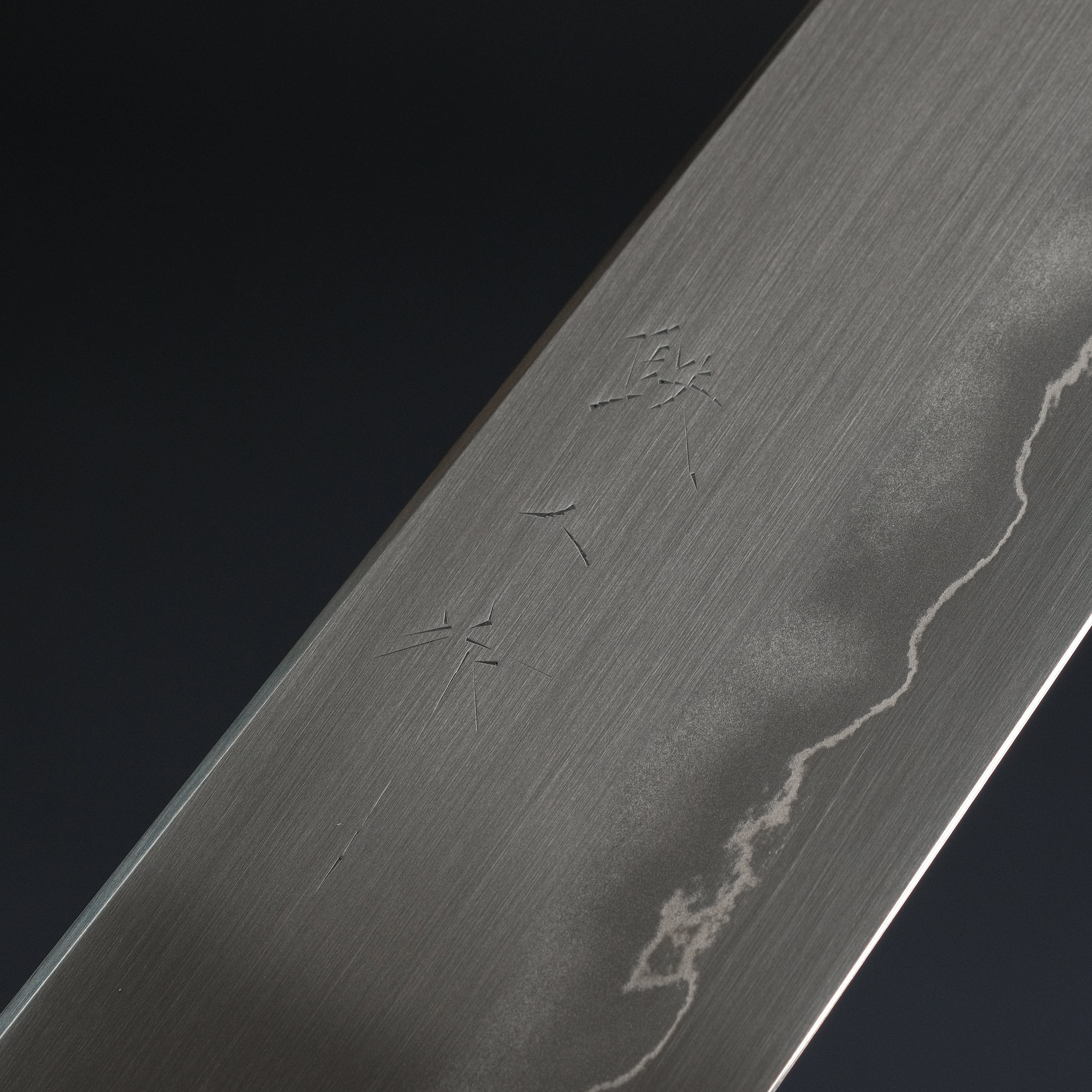Tetsujin Silver #3 Ukiba Gyuto 210mm Japanese Chef Knife with Taihei Tagayasan Handle - Professional Kitchen Knife for Slicing, Dicing & Precision Cooking