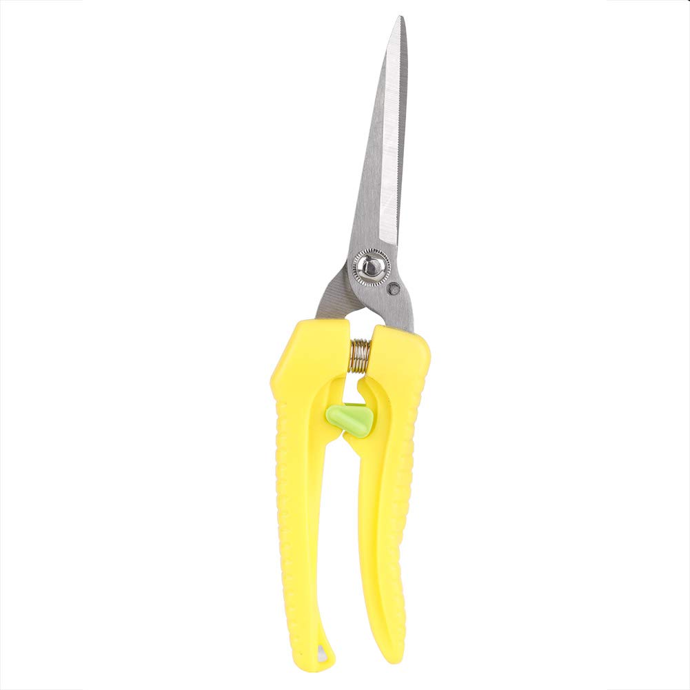 Premium 8-Inch Pruning Shears - Professional Garden Scissors for Plants, Flowers, Bonsai & Fruit Trees - Sharp Stainless Steel Trimming Shears for Gardening, Landscaping & Home Use