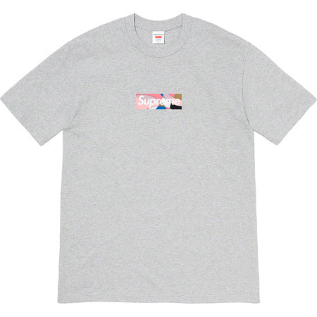 Supreme x Emilio Pucci Box Logo T-Shirt - Grey & Pink Streetwear Fashion Tee for Men & Women | Casual Wear, Hip Hop Style, Urban Outfits