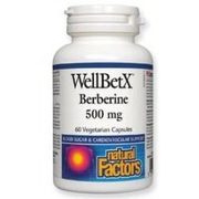WellBetX® Berberine 500mg Supplement - Natural Blood Sugar Support & Digestive Health Aid - Vegan Capsules for Metabolism & Gut Wellness - Perfect for Daily Wellness Routine & Diabetes Management