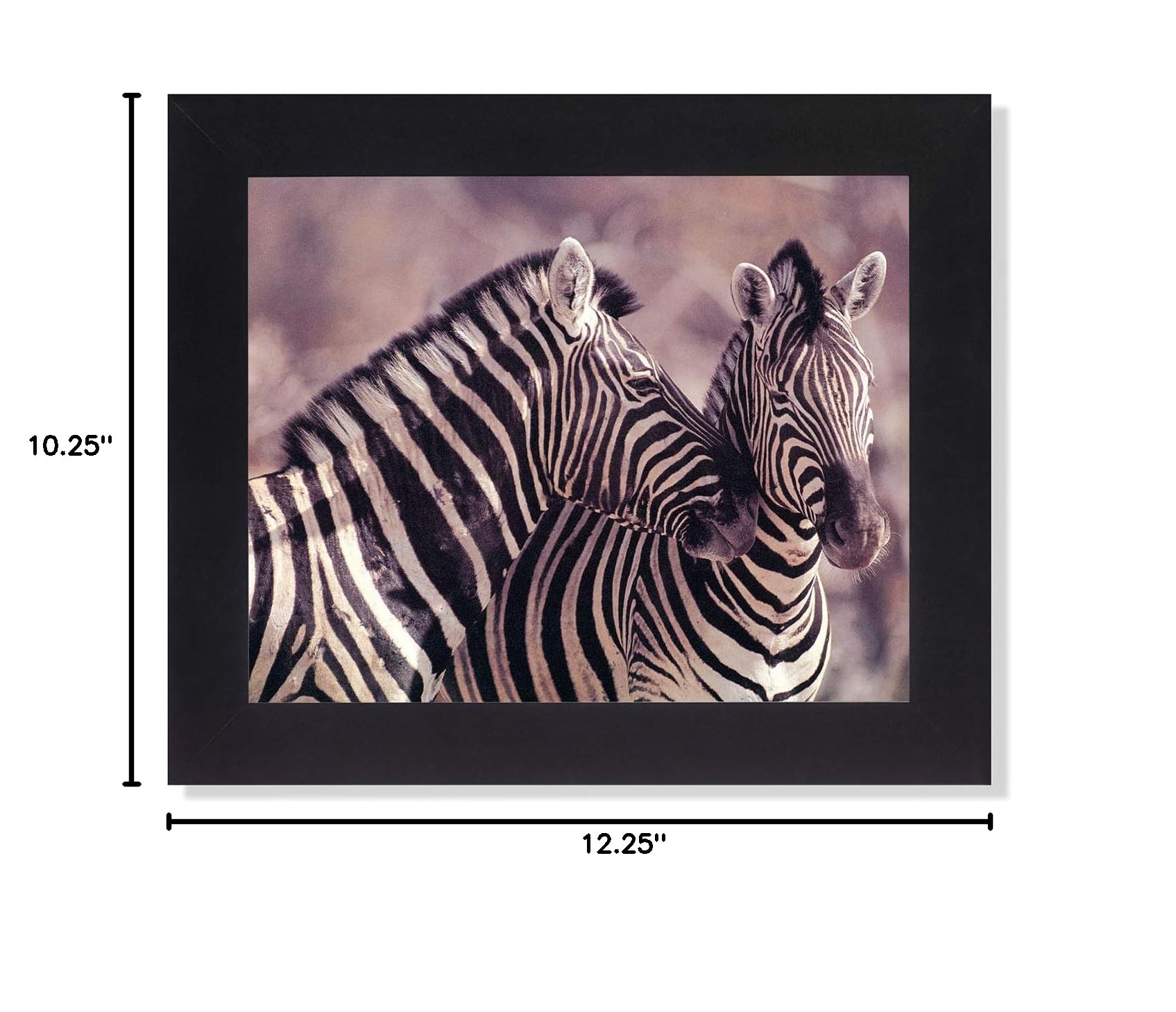 African Striped Zebras Hugging Framed Wall Art Print - Wildlife Safari Decor for Living Room, Bedroom & Office