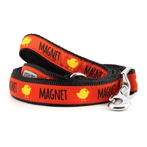 Chick Magnet Dog Collar and Leash Set - Stylish & Durable Pet Accessories for Small to Medium Dogs - Perfect for Daily Walks, Training, and Outdoor Adventures