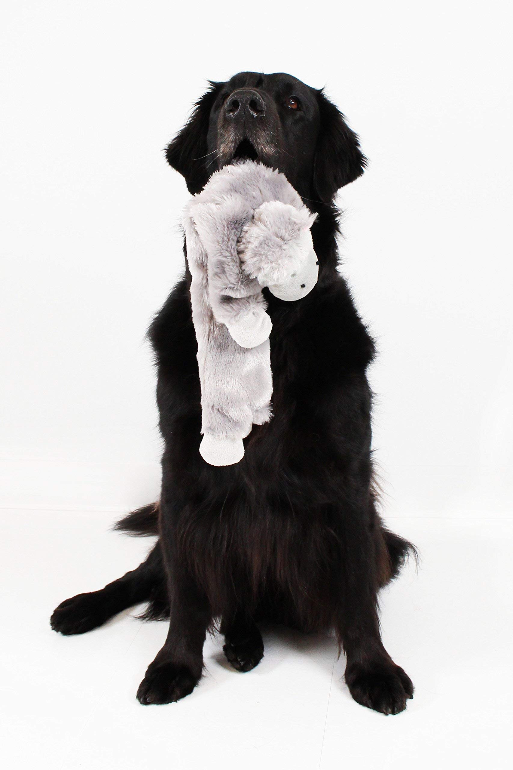 Midlee Hippo Stuffingless Dog Toy - 21 Inch Large Plush Chew Toy for Aggressive Chewers - Perfect for Playtime, Training, and Cuddling