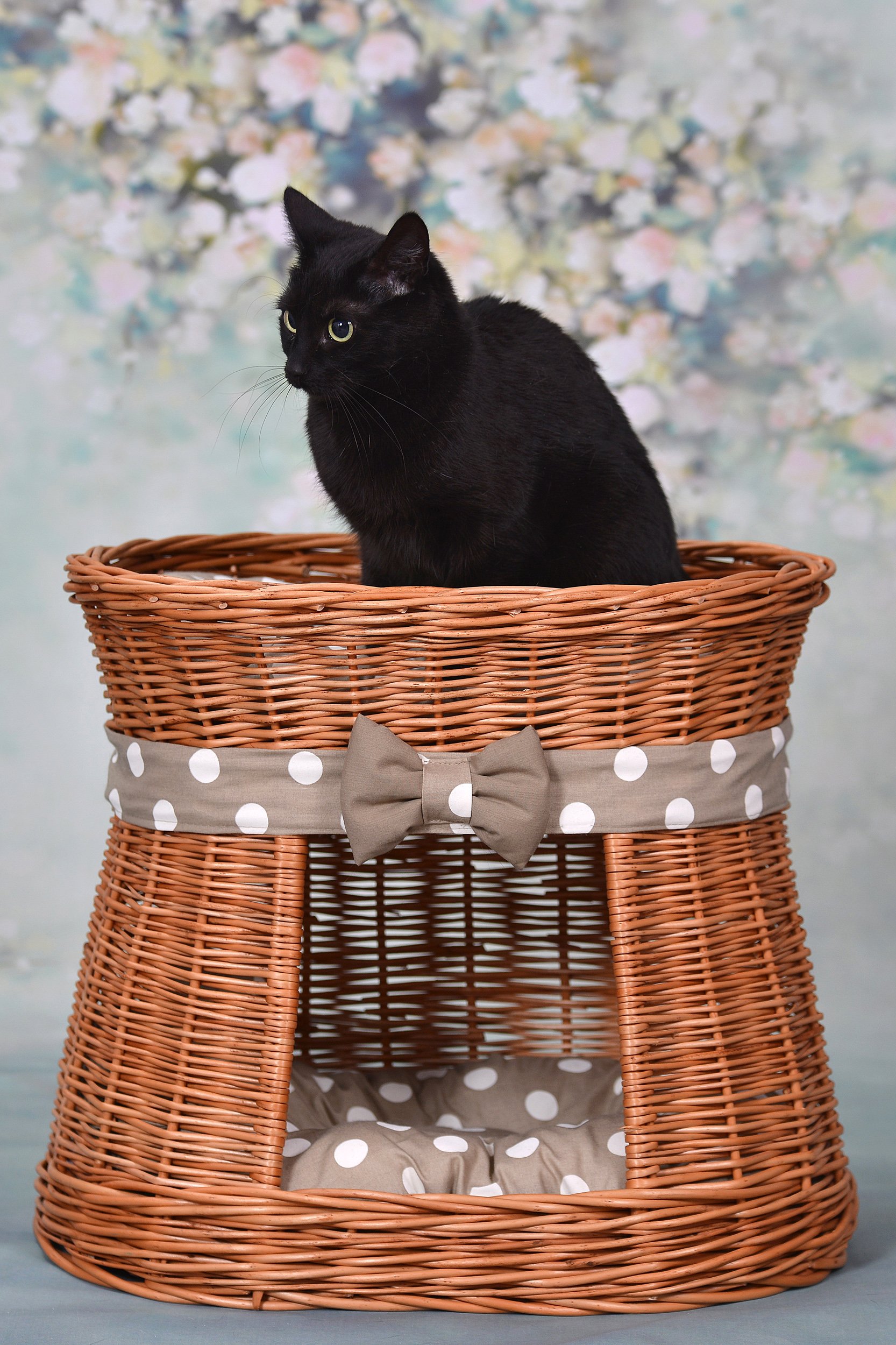 Willow Storage Basket - Natural Honey Yellow Wicker Basket - 50 x 40 x 45 cm - Perfect for Home Organization, Laundry, Toys & Blanket Storage
