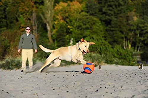 Chuckit! Kick Fetch Ball Dog Toy, Small (6 Inch) - Durable Outdoor Dog Ball for Active Play, Training & Exercise - Perfect for Beach, Park & Backyard Fun