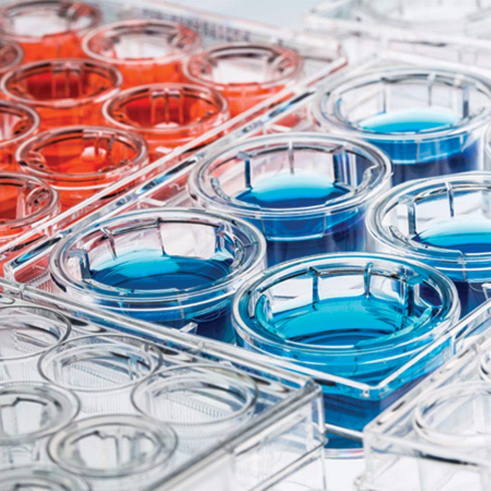 Olympus 24-Well Sterile Tissue Culture Plates - TC Treated, Flat Bottom, Individually Wrapped (100 Plates/Unit) - Ideal for Cell Growth, Laboratory Research & Biomedical Experiments