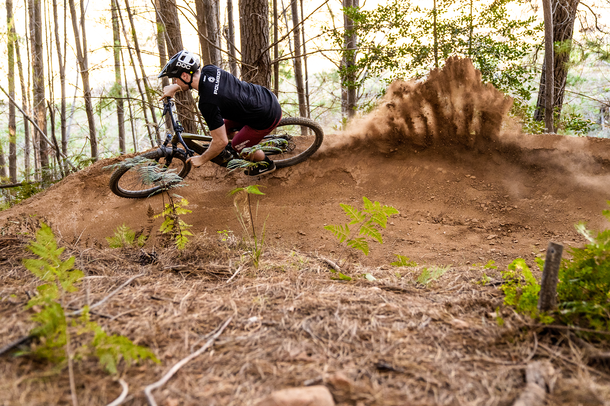 Polygon Siskiu T7E Electric Mountain Bike - 29