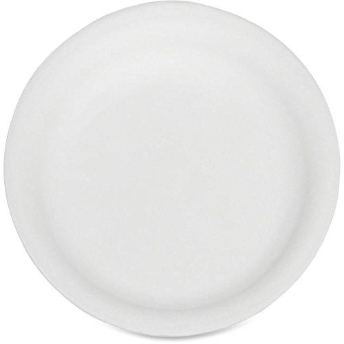 Skilcraft Compostable Paper Plates 9 Inch - 100% Biodegradable Disposable Dinner Plates for Parties, Picnics & Eco-Friendly Events - Pack of 50 (7350002900594)