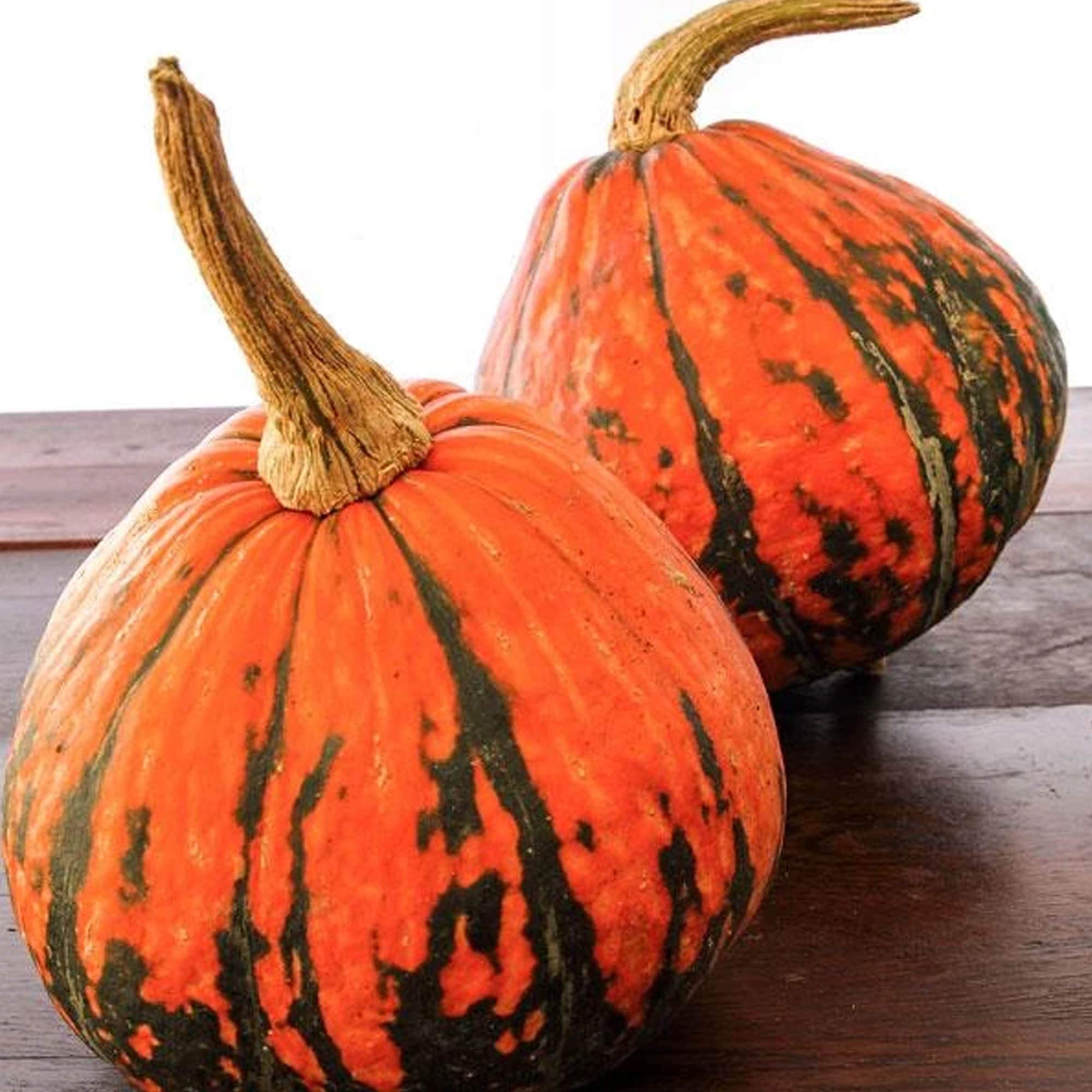 Heirloom Lakota Squash Seeds - Non-GMO, Open Pollinated - 2g Packet for Vegetable Gardening & Winter Harvests