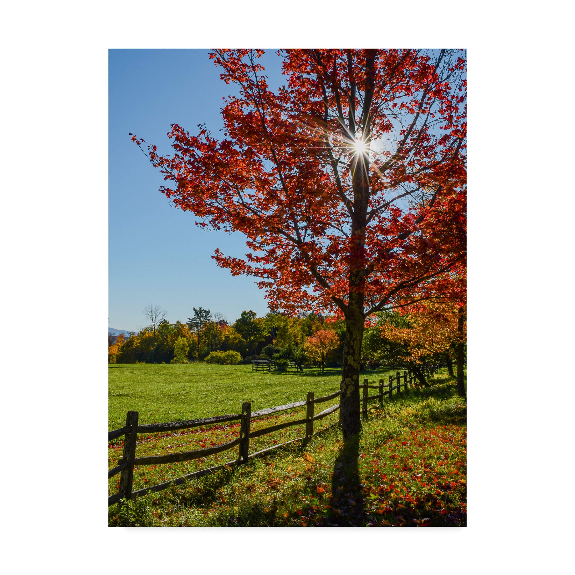 Sunburst in Fall - Stunning Autumn Landscape Canvas Art Print by Brenda Petrella | Nature Photography Wall Decor for Living Room, Bedroom & Office