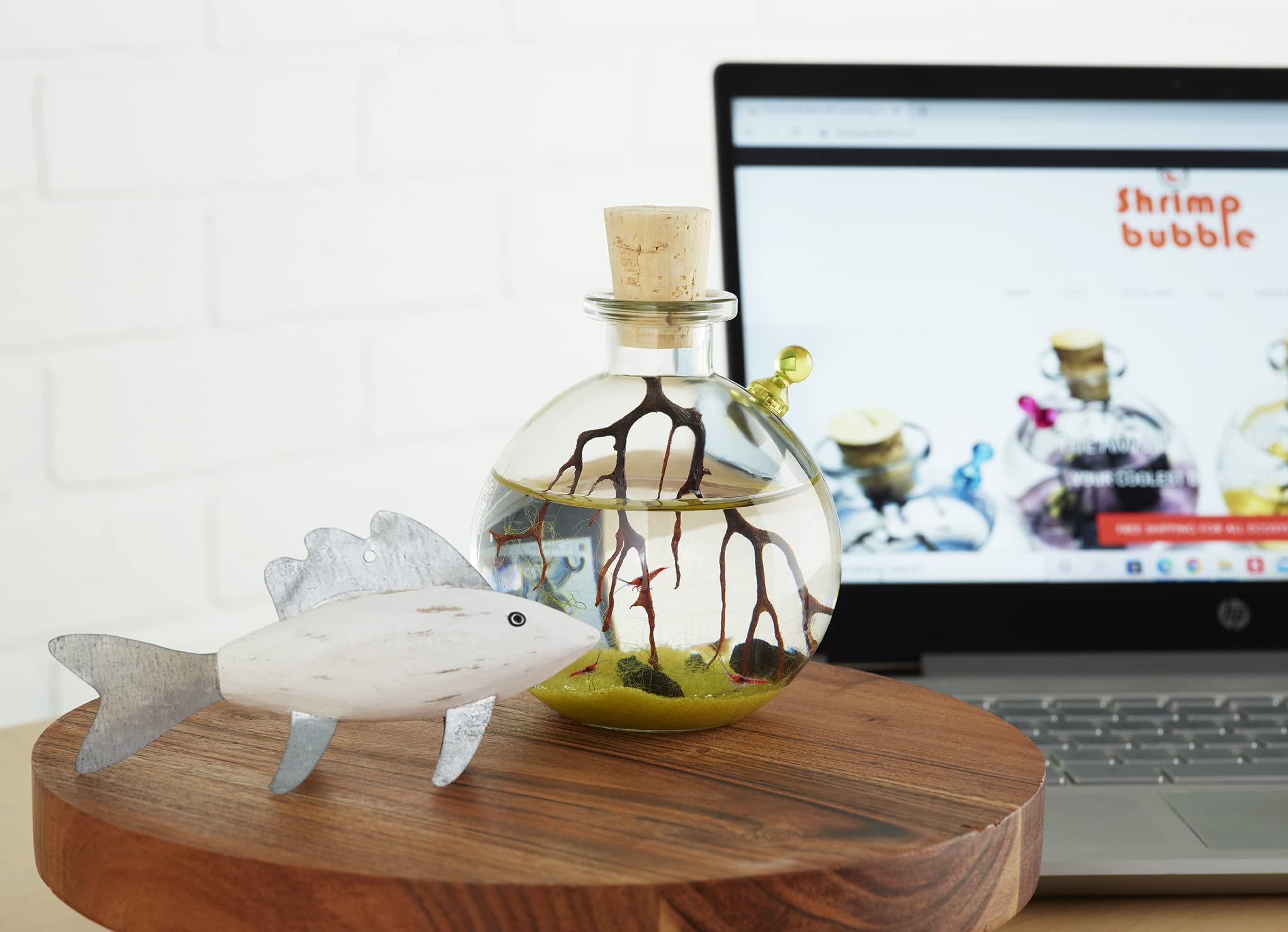 Self-Sustaining Glass Ecosystem Terrarium Kit - Indoor Plant Decor for Home, Office, or Gift - Perfect for Relaxation, Meditation & Nature Lovers