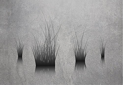 Lone Plants on a Pond