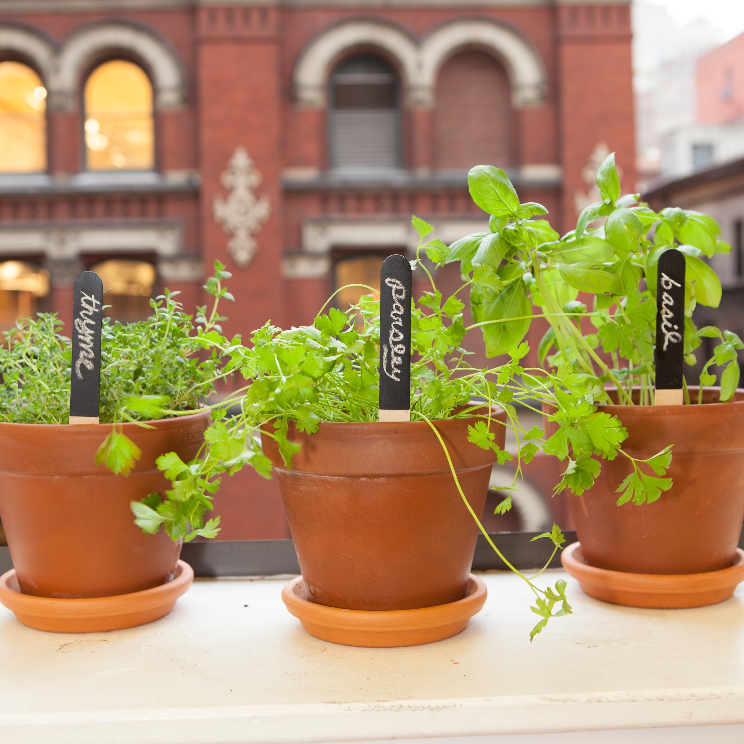 Durable Reusable Garden Markers for Plants - Weatherproof Plant Labels for Vegetable Herb Flower Seed Identification - Perfect for Indoor Outdoor Gardening, Greenhouses & Backyard Planting
