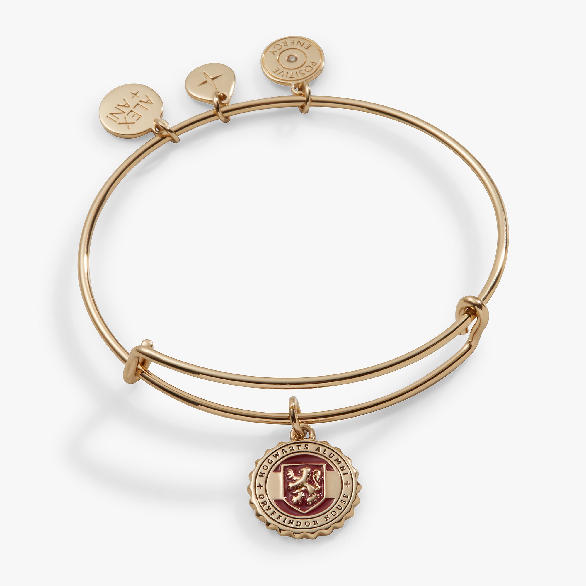 Harry Potter™ Gryffindor House Charm Bangle | Official Hogwarts Wizarding Jewelry | Perfect for Cosplay, Halloween & Potterhead Gifts