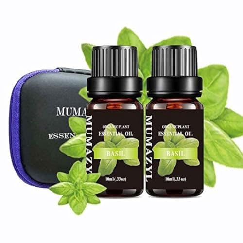 2 Pack Basil