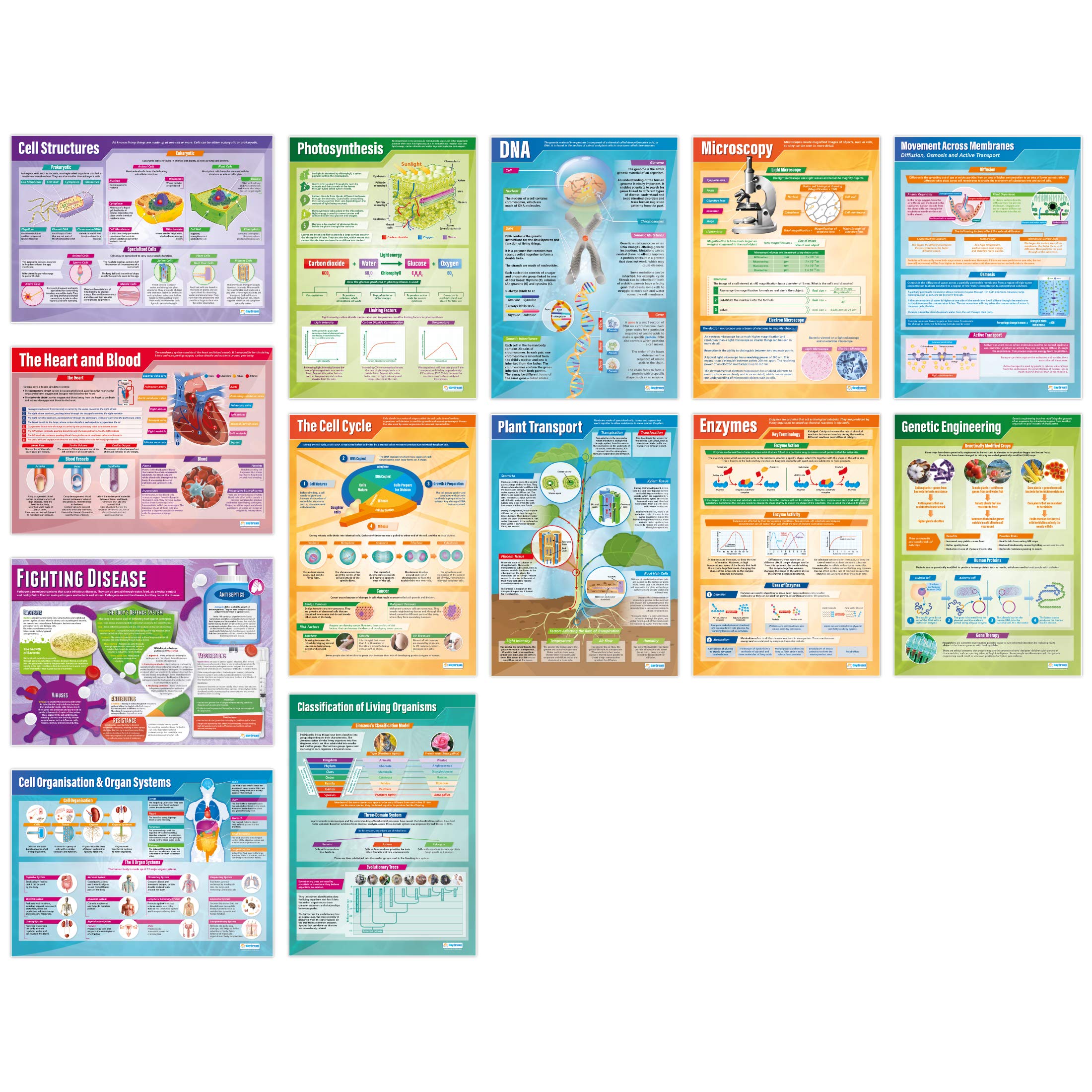 Biology Science Posters - Set of 13 Extra Large 33x23.5 Inch STEM Classroom Decor - High Quality Gloss Paper Wall Charts for Middle & High School - Educational Science Classroom Decorations by Daydream Education - Perfect for Science Labs, Homeschooling & Classroom Learning
