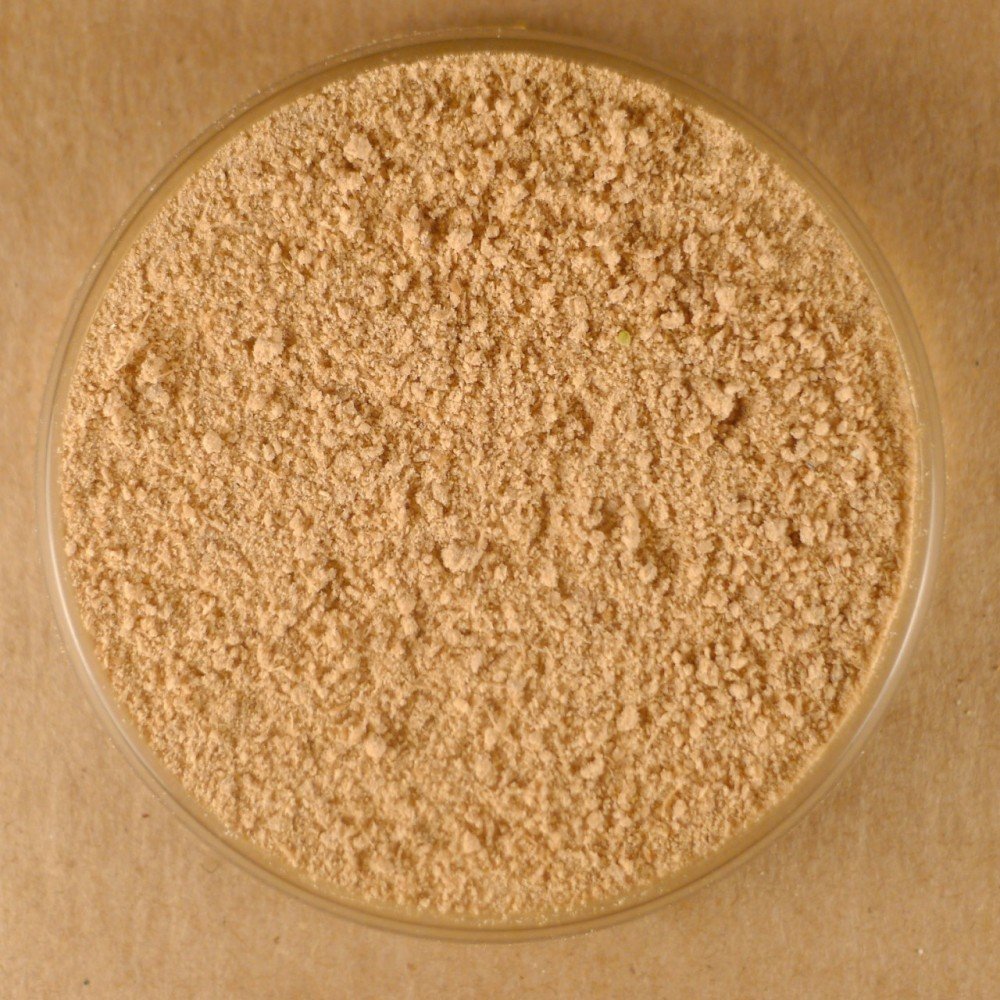 Amchur Powder - 25 lbs Bulk - Dried Mango Powder for Indian Cooking, Chutneys, Marinades & Vegan Recipes