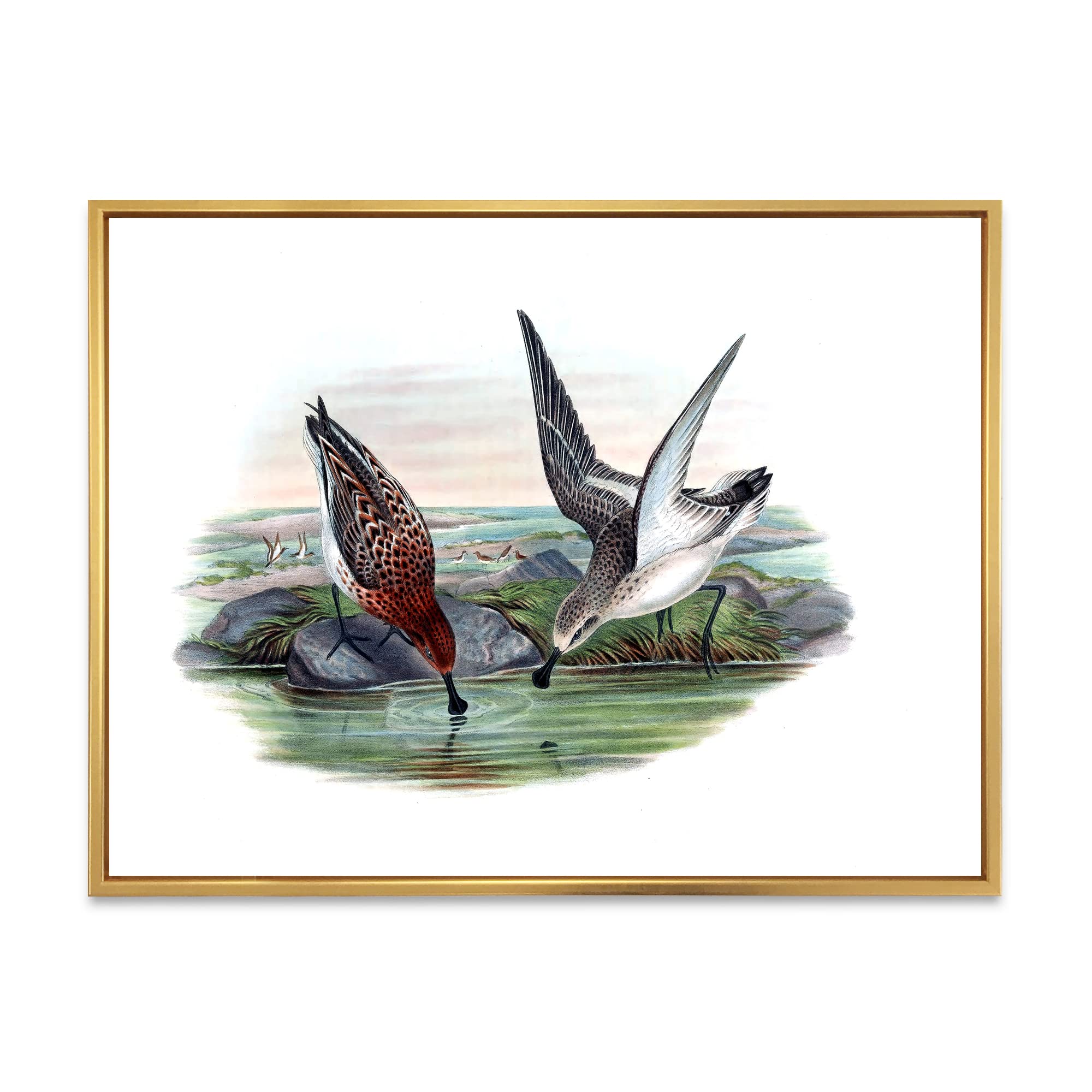 Vintage Countryside Animals IV - Farmhouse Framed Canvas Wall Art Print | Rustic Home Decor for Living Room, Bedroom & Office | Perfect Gift for Animal Lovers