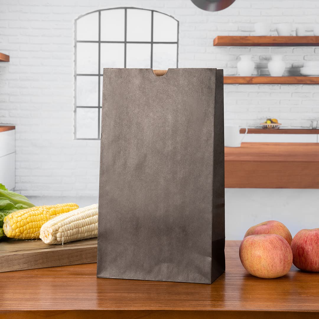 Restaurantware 12lb Disposable Paper Lunch Bags - 100 Pack Large Kraft Paper Bags for Sandwiches, Snacks & Shopping | Eco-Friendly Takeout Bags for Restaurants, Parties, Catering & Gift Packaging