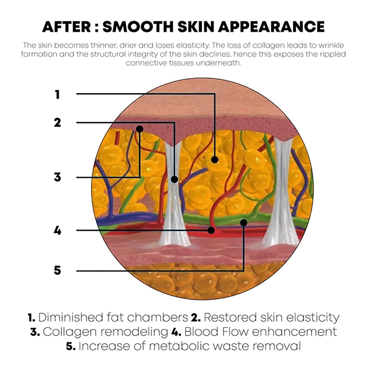Bodyslim Firming Gel - Body Sculpting & Tightening Cream for Belly, Thighs & Arms - Anti-Cellulite Treatment for Loose Skin | Post-Pregnancy & Weight Loss Skin Care Solution