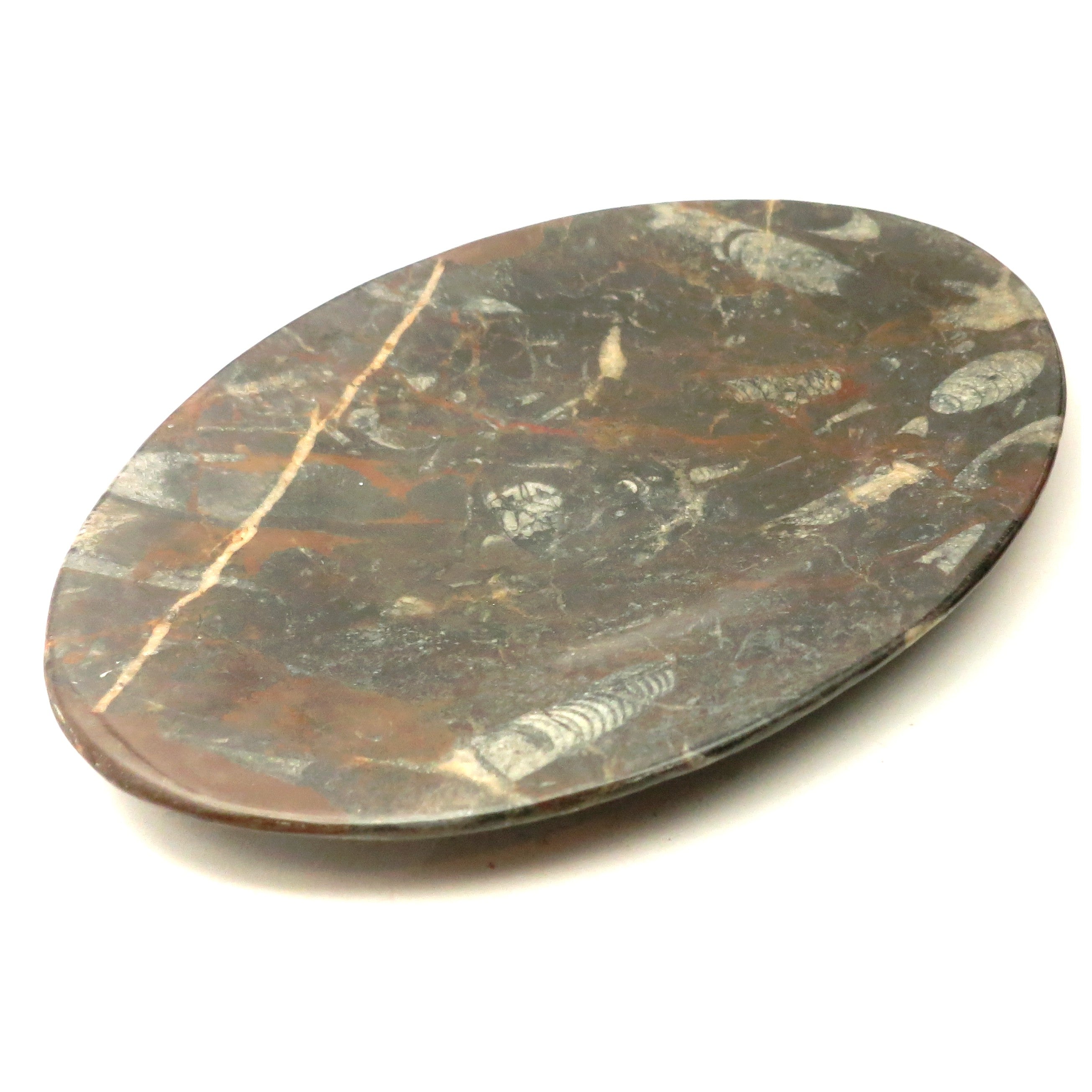 Orthoceras Fossil Black Stone Oval Serving Platter - Elegant Hostess Tray for Entertaining, Dinner Parties & Home Decor