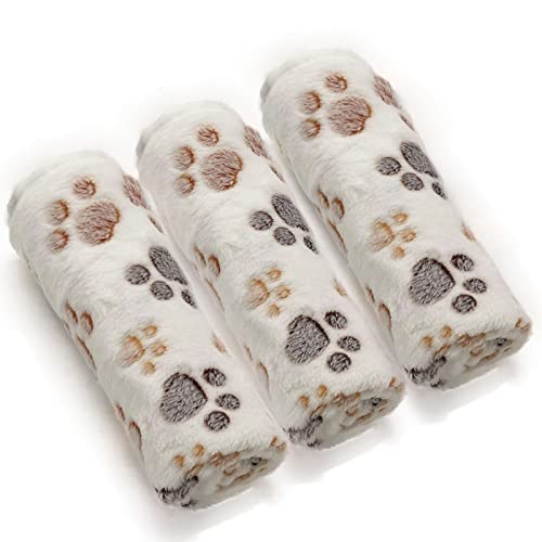 White-paw(pack of 3)