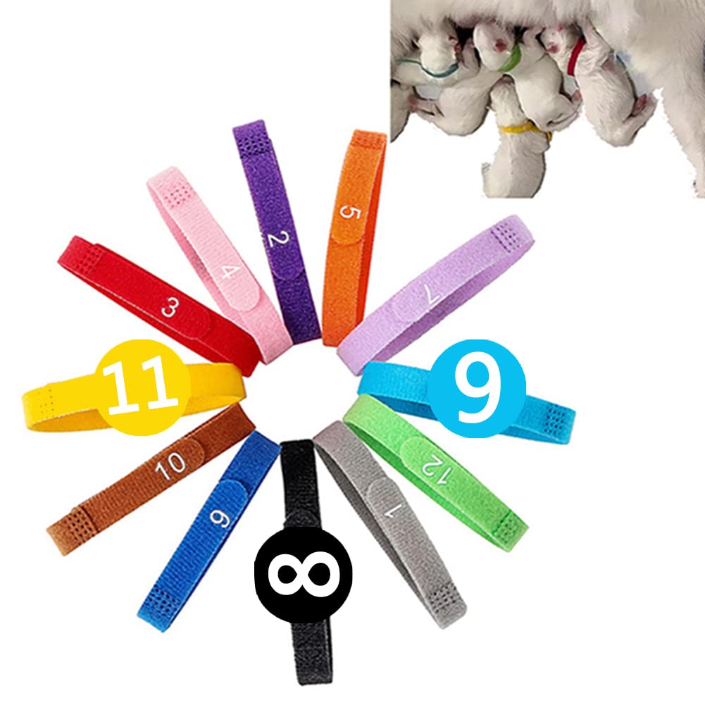Adjustable Newborn Puppy ID Collars with Numbers - Personalized Dog & Kitten Collars for Small, Medium & Large Breeds - 12pc Set in Assorted Colors - Perfect for Whelping, Kennels & Pet Identification