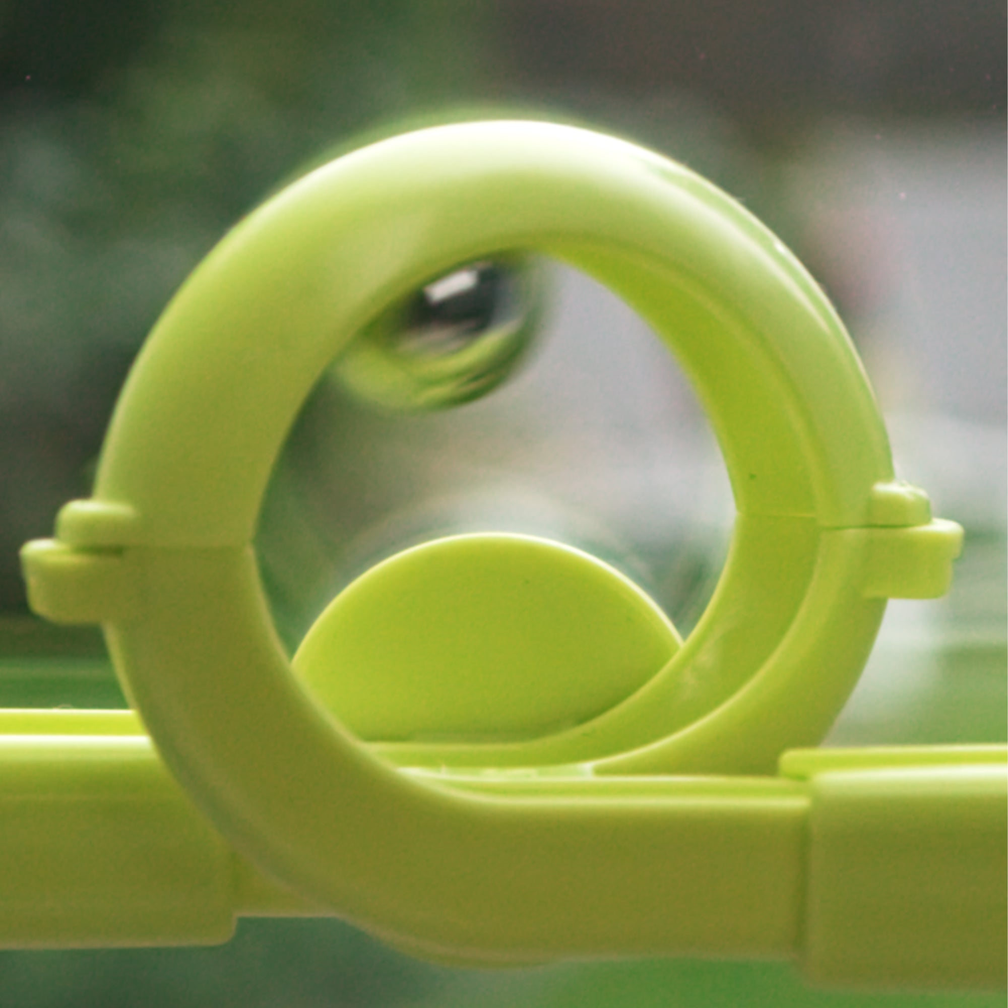 Gecko Run: Loop Expansion Pack - Fun Board Game Add-On for Family Game Nights & Kids' Party Activities