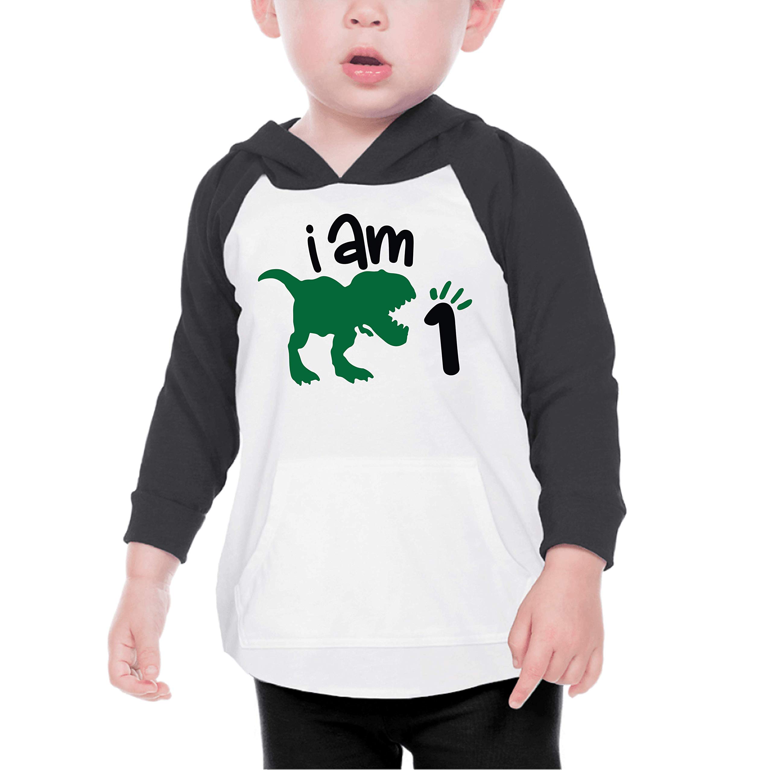 Dinosaur Birthday Shirt for Boys - Cute Dinosaur Hoodie for 1st Birthday Party Outfit | Perfect for Birthday Photos, Cake Smash & Toddler Celebrations