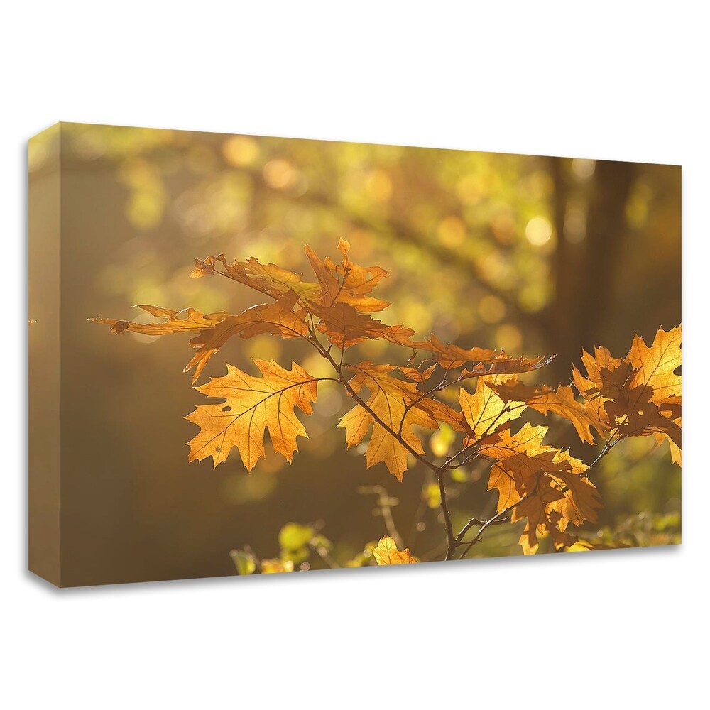 Autumn Light by Roeselien Raimond - Premium Canvas Wall Art Print - Ready to Hang - Perfect for Living Room, Bedroom & Office Decor
