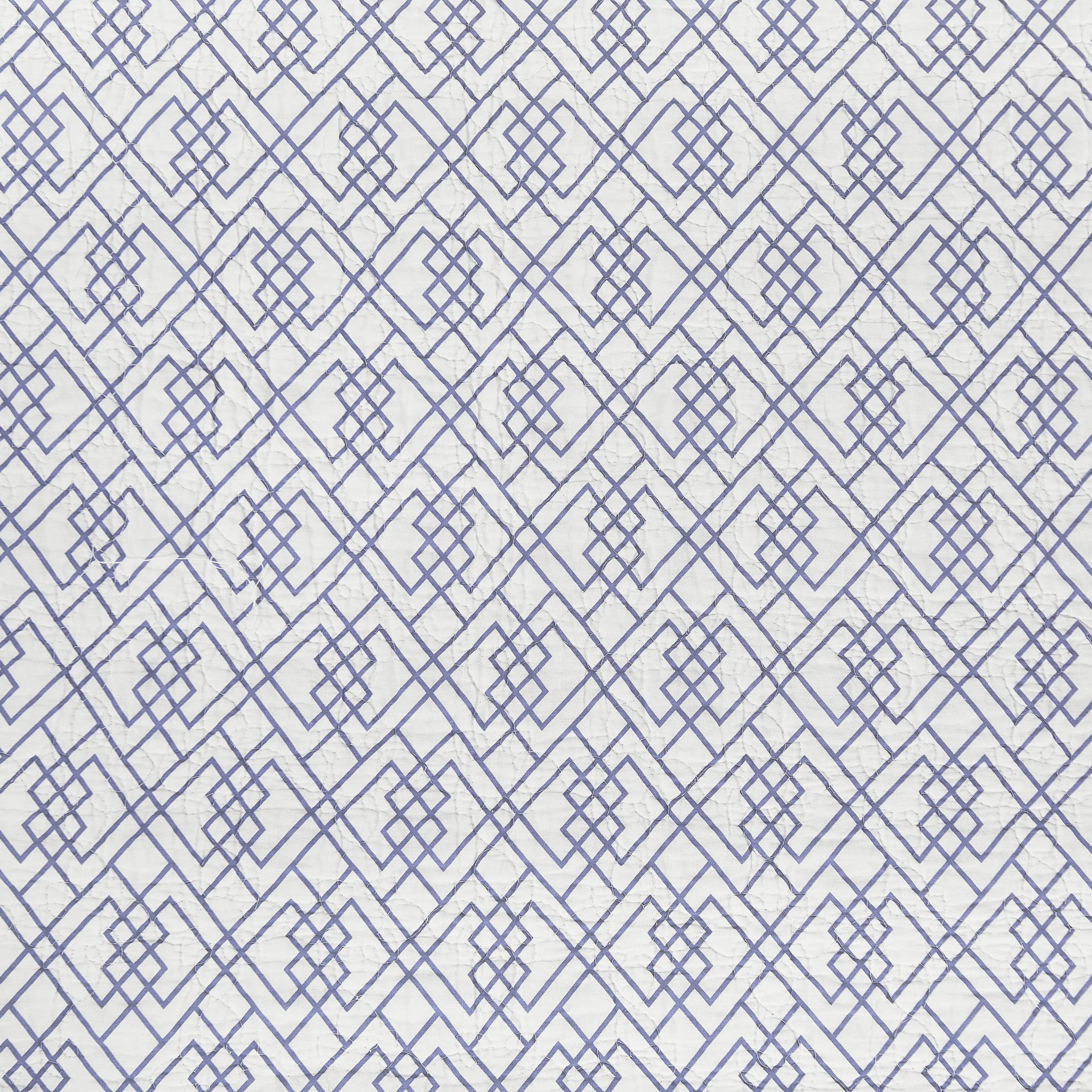 C&F Home Juliet Twin 2-Piece Reversible Coverlet Quilt Set - Blue Green White Paisley Pattern & Blue White Trellis Design - Includes 1 Standard Sham | Perfect for Kids' Rooms, Guest Bedrooms & Dorm Decor
