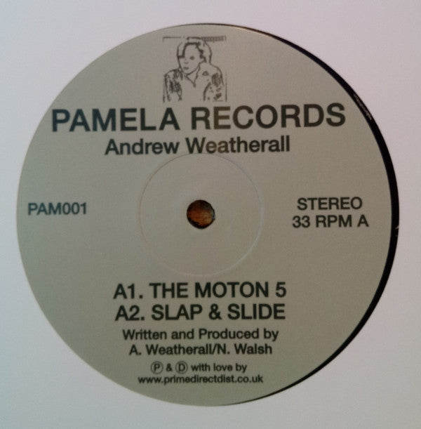 Andrew Weatherall – Pamela 1 Vinyl Record | Limited Edition 12
