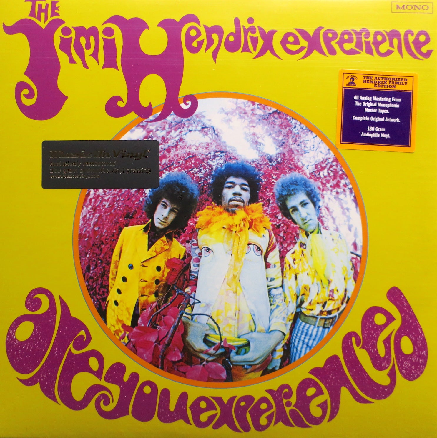 JIMI HENDRIX 'Are You Experienced' 180g Vinyl LP Record - High Quality Audiophile Edition for Music Collectors & Vinyl Enthusiasts - Perfect for Home Listening & Gifts