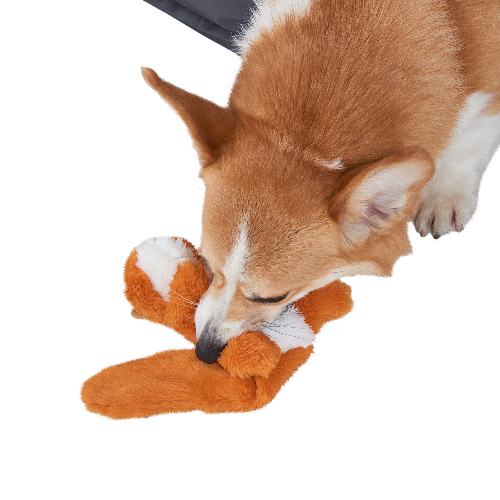 JOYELF Plush Squeaky Dog Toys for Medium & Large Dogs - 3 Pack Durable Interactive No-Stuffing Chew Toys with Crinkle Paper (Penguin, Polar Bear, Otter) | Perfect for Playtime, Training & Teething Relief